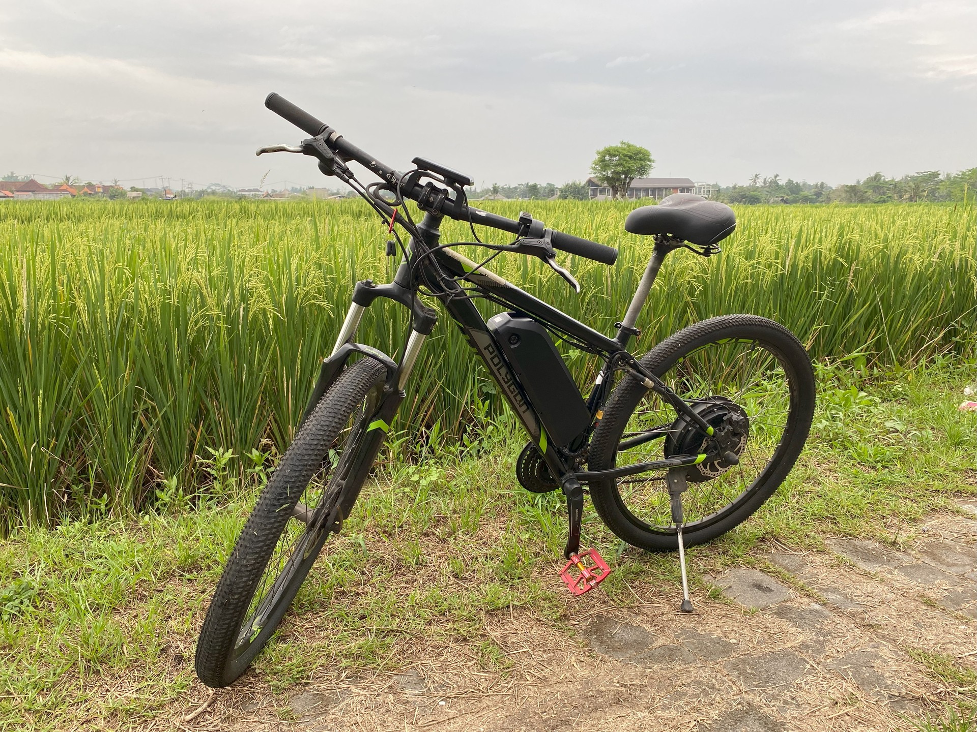 E-Bike Tour Ubud