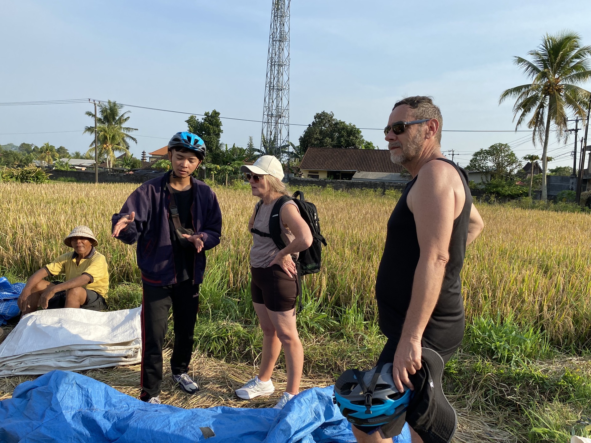 Guests interacting with local farmers at rice fields