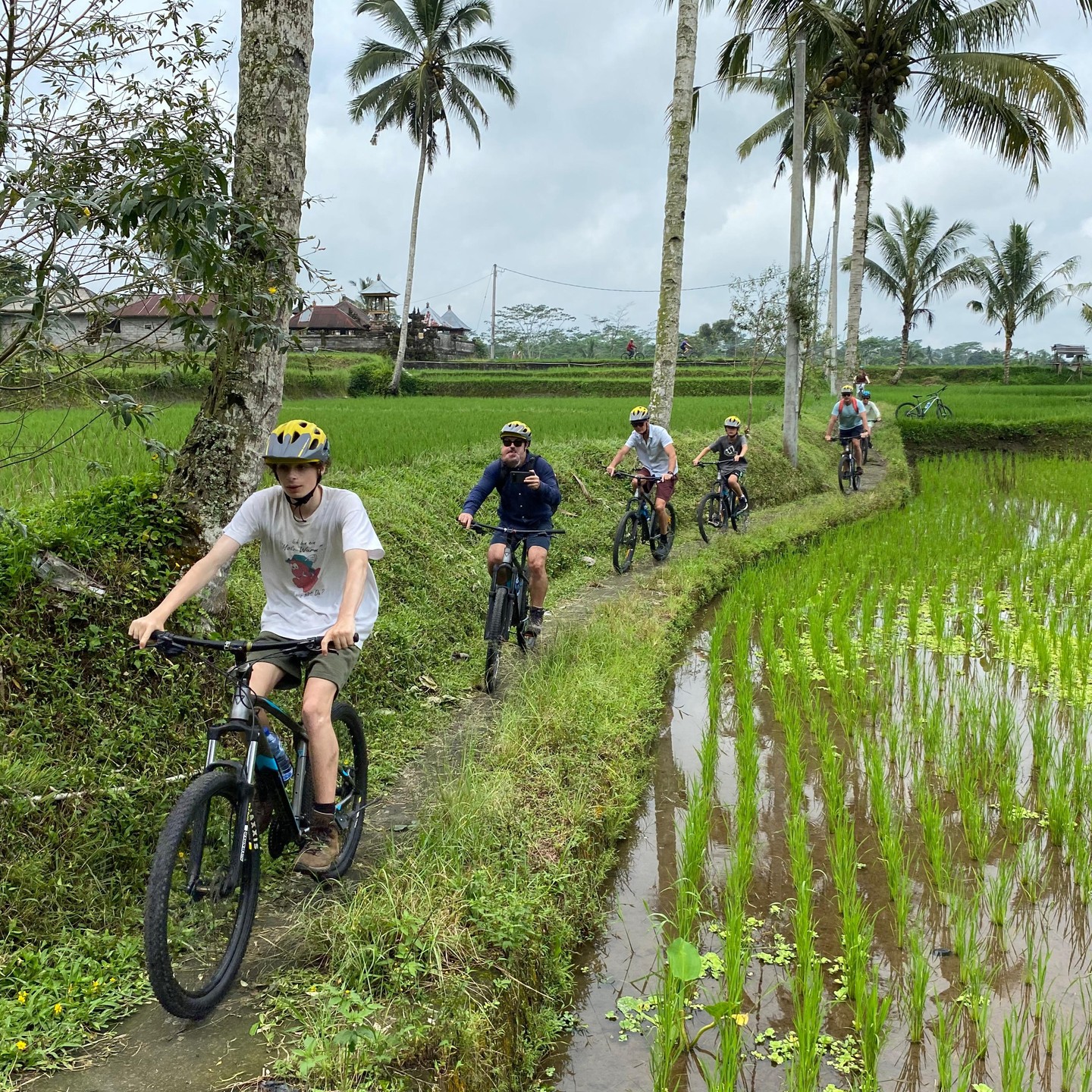 Downhill cycling along scenic rice terrace ridge