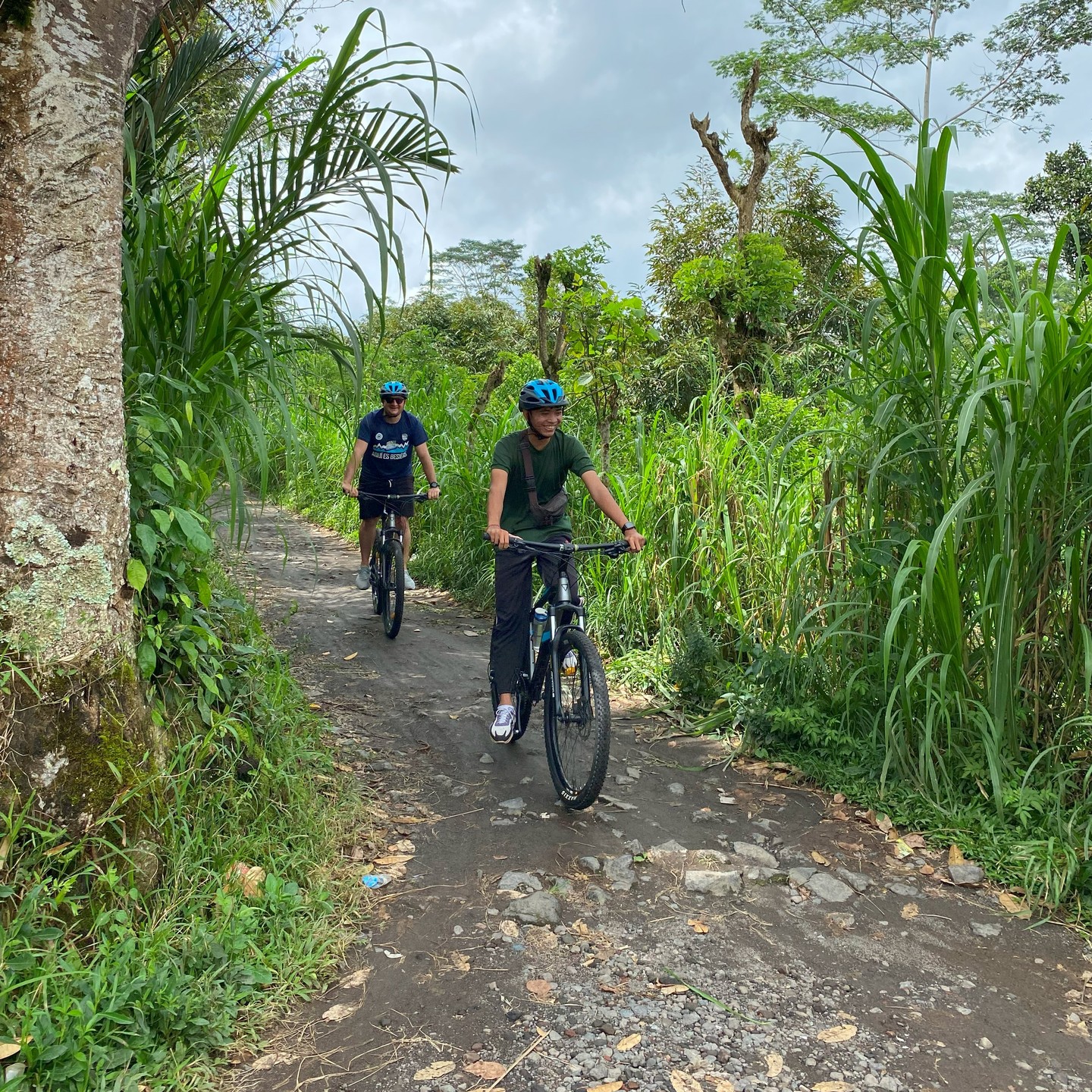 Downhill bike ride through lush green trail